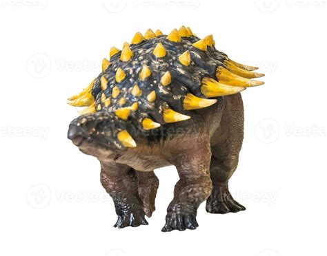 Ankylosaurus Dinosaur Isolated Background Stock Photo At