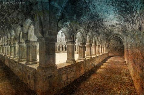 Cloisters Moyne Abbey Betty Sederquist Photography