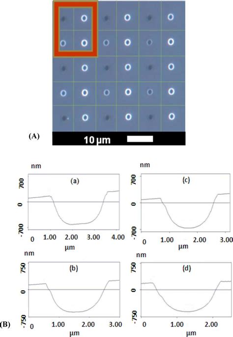 A Optical Micrograph Of Assembly Into An Array Of Holes Comprising