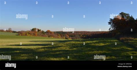 Autumn Fields And Forests Stock Photo Alamy