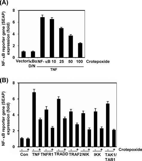 Crotepoxide Suppresses NF B Dependent Reporter Gene Expression Induced