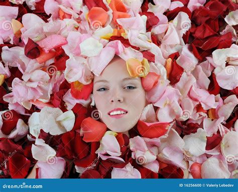 Beautiful Blonde In Rose Petals Stock Photo Image Of Hair Adult 16256600