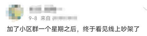 两人隔空对骂14个月 网友谈恋爱不一定能谈这么久新闻频道中华网