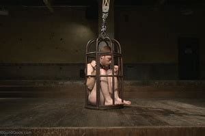 Encaged Gay In Collar Gets Tortured With Pins And Shocke XXX Dessert