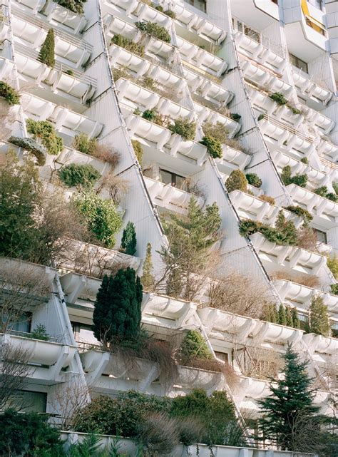 What is urban rewilding? | How cities are going green