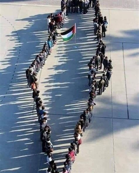 Palestine Internationale Broadcast On Twitter Bonjour De Palestine