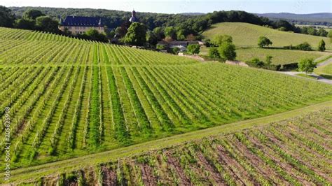 Luftbild Rheingau Oestrich Winkel Weinberge Schloss Vollrads