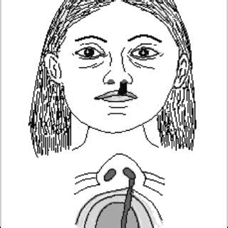 Reconstrucción del rostro de la mujer de Makatampu y la extensión de la