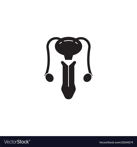 Male Reproductive System Black Concept Icon Vector Image