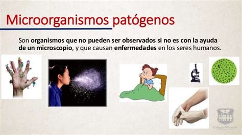 Microorganismos Patogenos