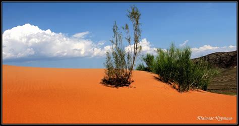 Amazing views of Altyn-Emel National Park · Kazakhstan travel and ...