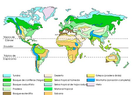 Aparador Esquivo Redondear A La Baja Regiones Naturales Del Mundo Mapa