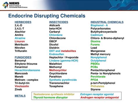 Ppt Endocrine Disruptors Where Do We Go From Here Powerpoint