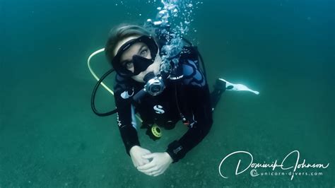 Tauchen In Augsburg Unterwasser Fotografie Im Süßwasser Unicorn Divers