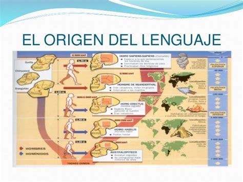 El Origen Del Lenguaje