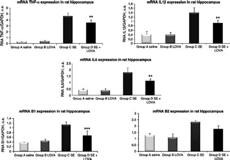 A Levels Of Mrna Expression Of Tnf α Il 1 β Il 6 And Kinin B1 Download Scientific