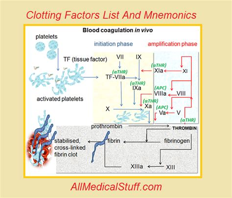 blood clotting factors table | Brokeasshome.com