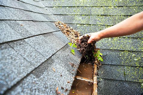 Gutter Cleaning Pictures, Images and Stock Photos - iStock