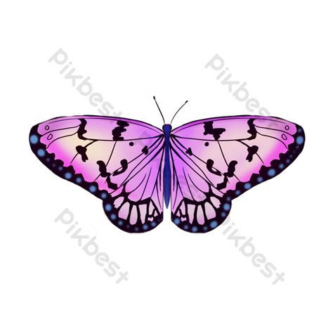 purple butterfly decoration illustration png images psd