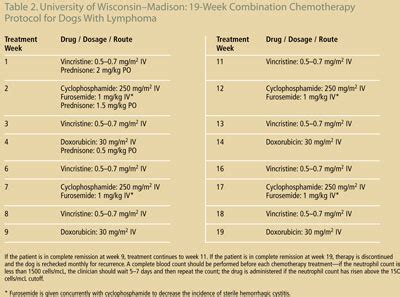 Canine Lymphoma Treatment Protocols - Captions Tempo