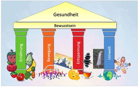 Säulen der Gesundheit – Leonore-Goldschmidt-Schule 
