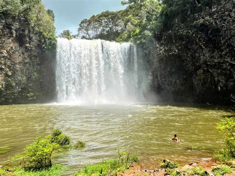 Dangar Falls - Bellingen Shire