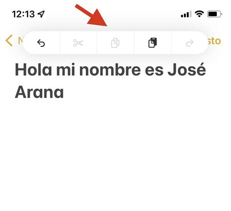 Todos Los M Todos Para Deshacer Y Rehacer Un Texto En Iphone O Ipad