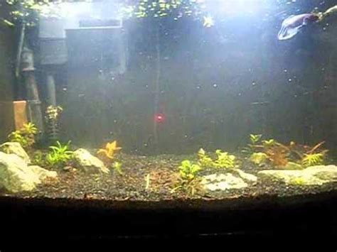 How To Set Up A Dirted Aquarium Fish Tank Part Youtube