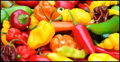 Chili Peppers May Help Decrease Risks Of Type 2 Diabetes Dr Farrah Md