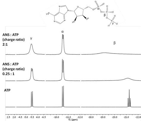 Fig S Nmr Spectra Obtained From Aqueous Solutions Of Atp And Ans