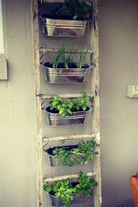 Best Indoor Herb Garden Ideas For Your Small Home And Apartment