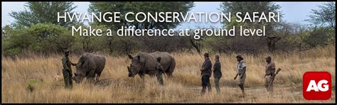 Unravelling The Elaborate Sex Lives Of Spotted Hyenas Africa Geographic