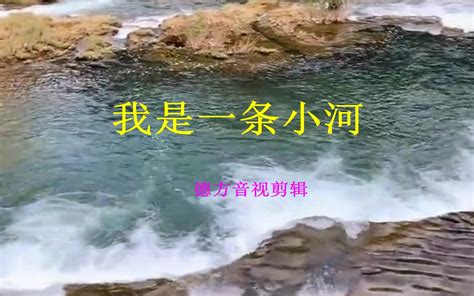 我是一条小河（4k）哔哩哔哩bilibili