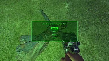 Flashy Joer Stealthy Takedowns At Fallout Nexus Mods And Community