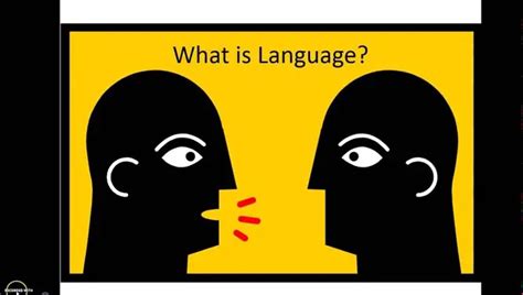 What Is The Relation Between Culture & Language - You Should Know