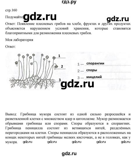 ГДЗ §24 стр. 160 биология 7 класс Пасечник, Суматохин