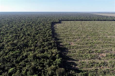 Futuro Ministro Do Meio Ambiente Diz Que Faltam Informações Sobre