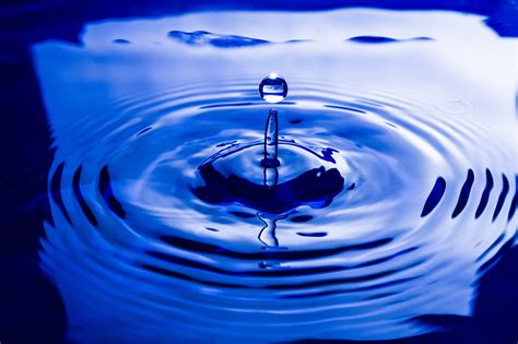 images water droplet drop liquid wave flower petal ripple