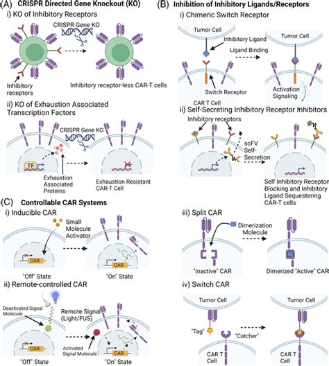 Examples Of Different Strategies To Mitigate Chimeric Antigen Receptor