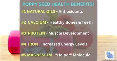 Poppy Seed Health Benefits Top 5 List