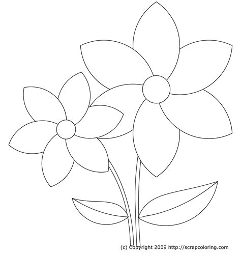 Flower Colouring Template