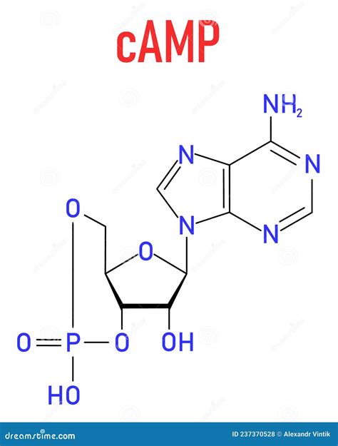 Camp Molecule