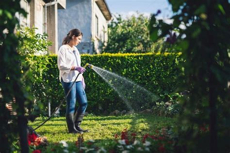 How To Maintain A Healthy Lawn In Simple Steps Uplarn