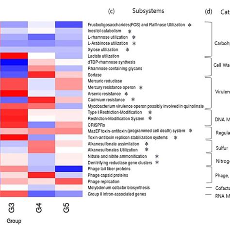 Heatmap For Gene Abundance Of Functional Categories Among L Plantarum Download Scientific