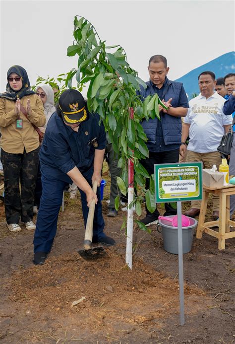 Ppid Kementrian Lingkungan Hidup Dan Kehutanan Pimpin Tanam Pohon Serentak Seluruh Indonesia