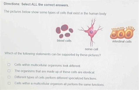 Solved Directions Select ALL The Correct Answers The Pictures Below