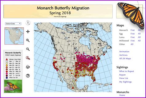 Baltimore Oriole Migration Map 2018 Map : Resume Examples