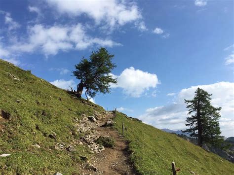 Wanderung Iffigenalp Leiterli