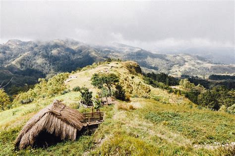 Timor Leste Farmers-2023 – Norikura Pioneer Roasters