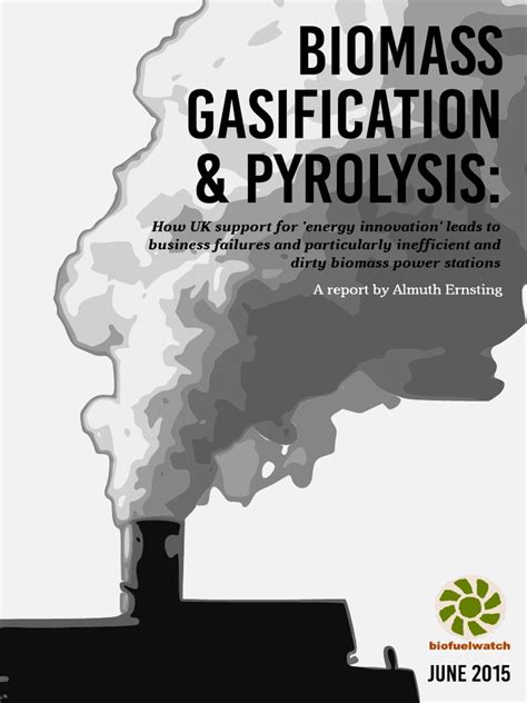 Biomass Gasification and Pyrolysis Formatted Full Report | PDF ... 